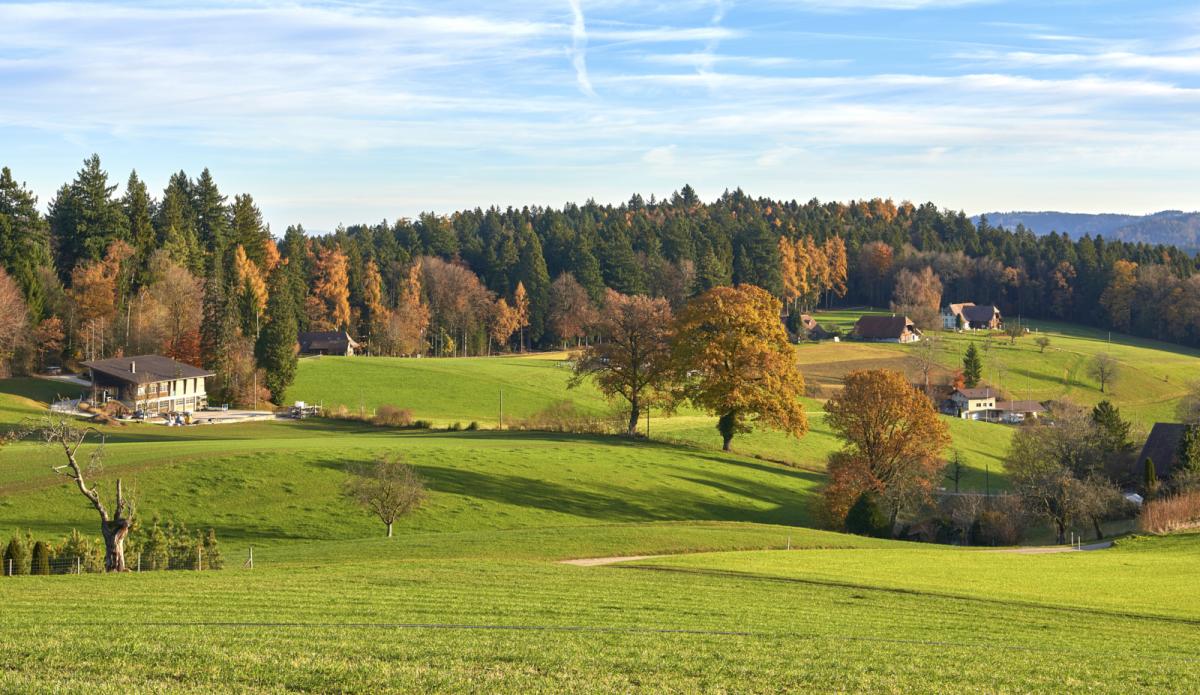 Holen