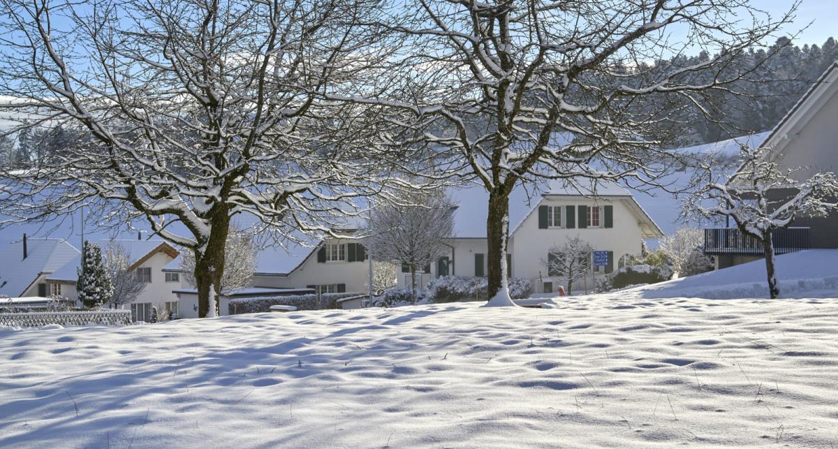 Dörfli 