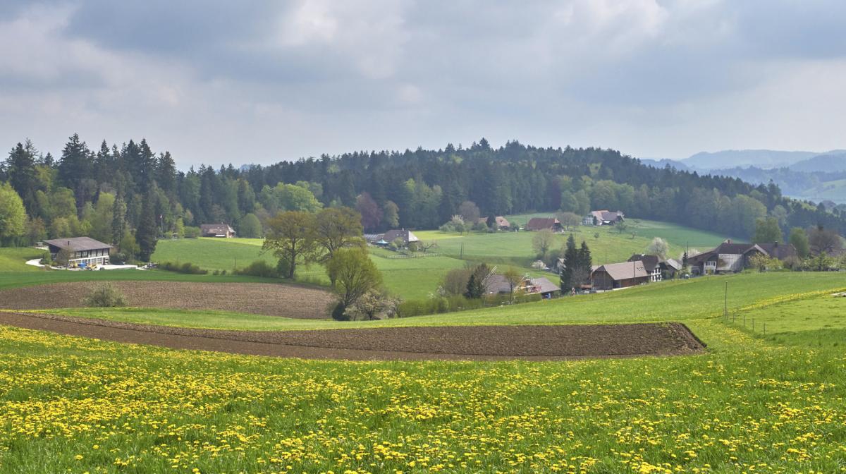 Breitacher Weid