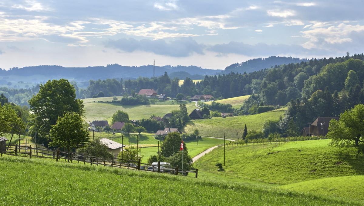 ab der Holen