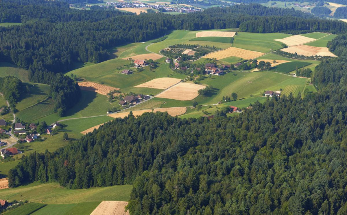 Busswil von Oben