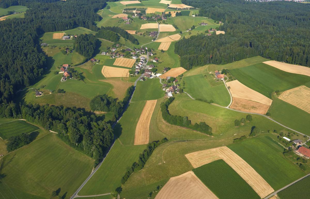 Busswil von Oben