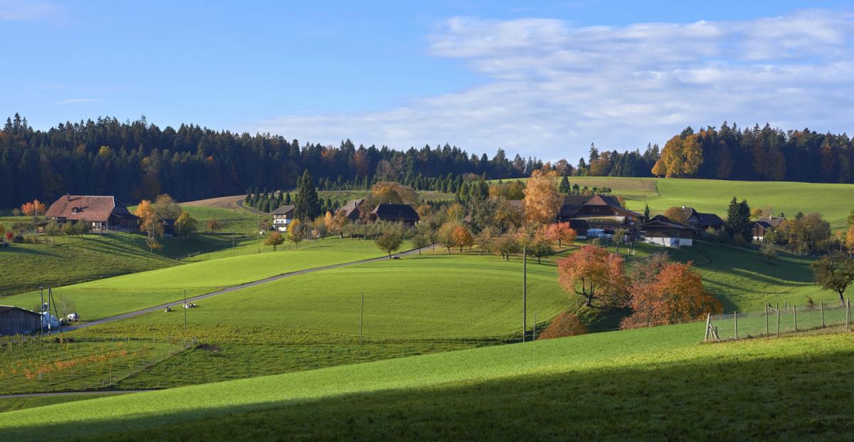 Breitacker
